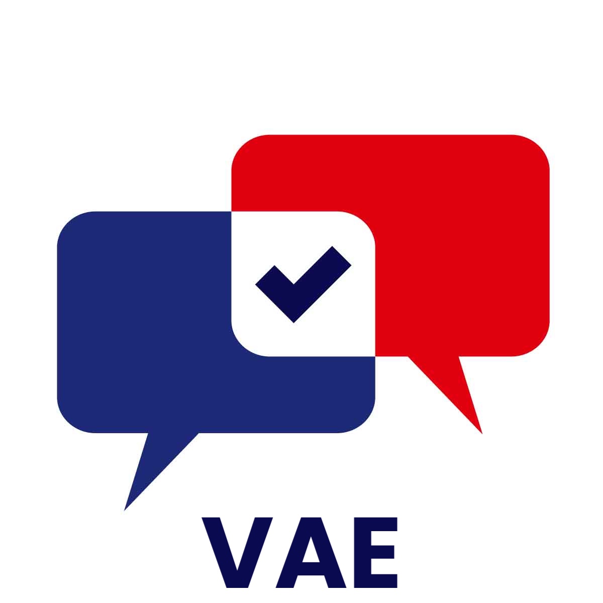 Vae Aide Soignant E Diplome D Etat Aide Dossier Livret 1 2